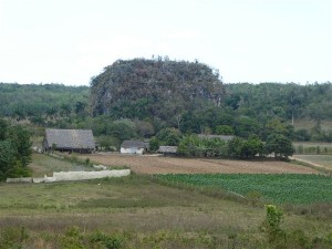 P1000685
