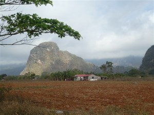 P1000699