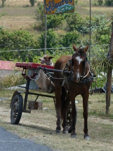 P1000737