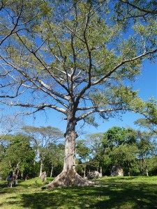 P1010240