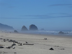 P1020141