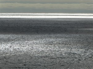 P1020230