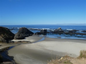 P1020238