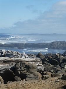 P1020250
