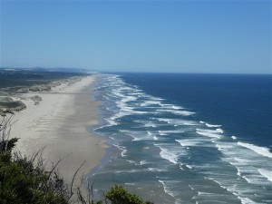 P1020268