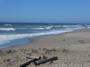 P1020294