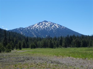P1020494