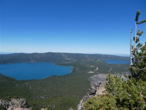 P1020517