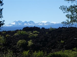 P1020549