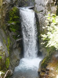 P1030247